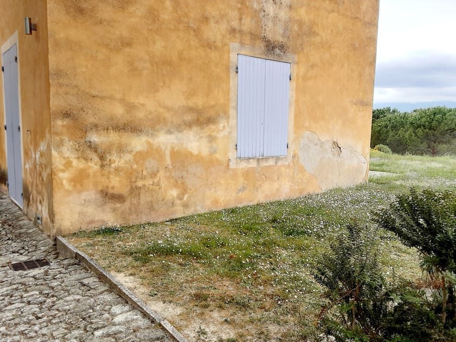 Bâtiment en stuc jaune avec une fenêtre à volets blancs, jouxtant une cour gazonnée clairsemée et des arbustes.