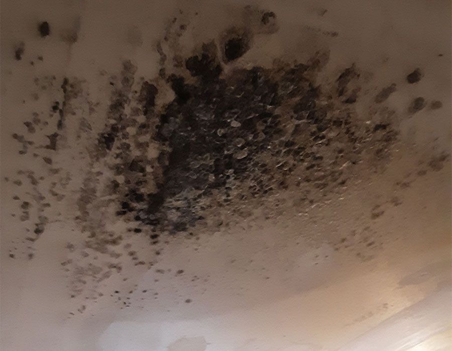 Moisissures sombres se propageant dans un coin de plafond beige.