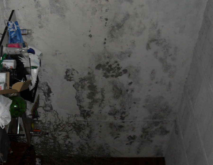 Mur blanc taché de moisissure dans un coin encombré, avec des étagères et des objets ménagers sur la gauche.