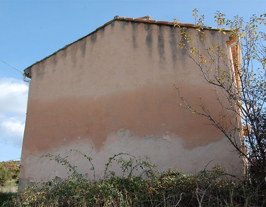 Mur d'immeuble en stuc rose avec des plantes et un arbre sur fond de ciel bleu