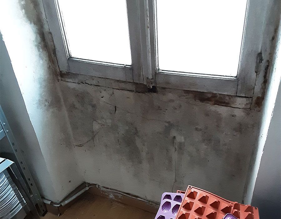 Mur taché de moisissure sous une fenêtre dans une petite pièce, avec des caisses en plastique au sol
