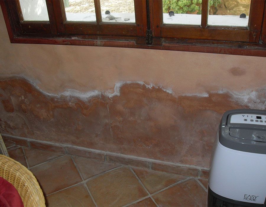 Mur endommagé par l'eau sous les fenêtres, avec un plâtre qui s'écaille et un purificateur d'air portable sur la droite.