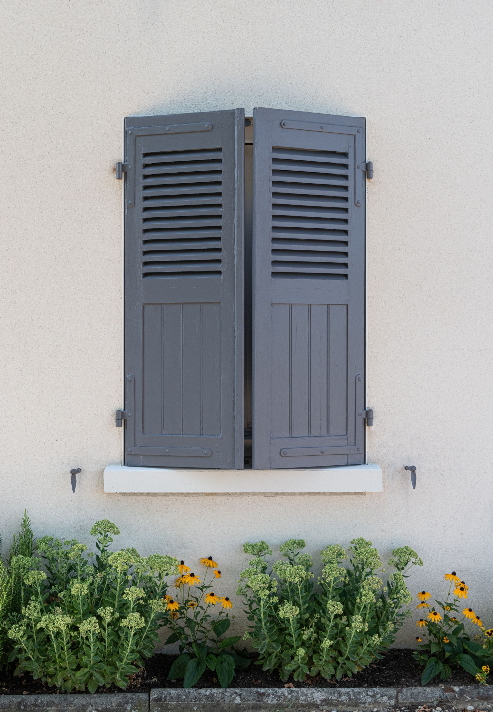 Fenêtre à volets gris avec jardinière en dessous sur un mur en stuc.