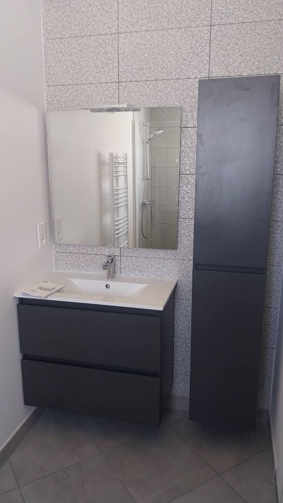 Salle de bains avec un miroir et une armoire haute sur fond de carrelage