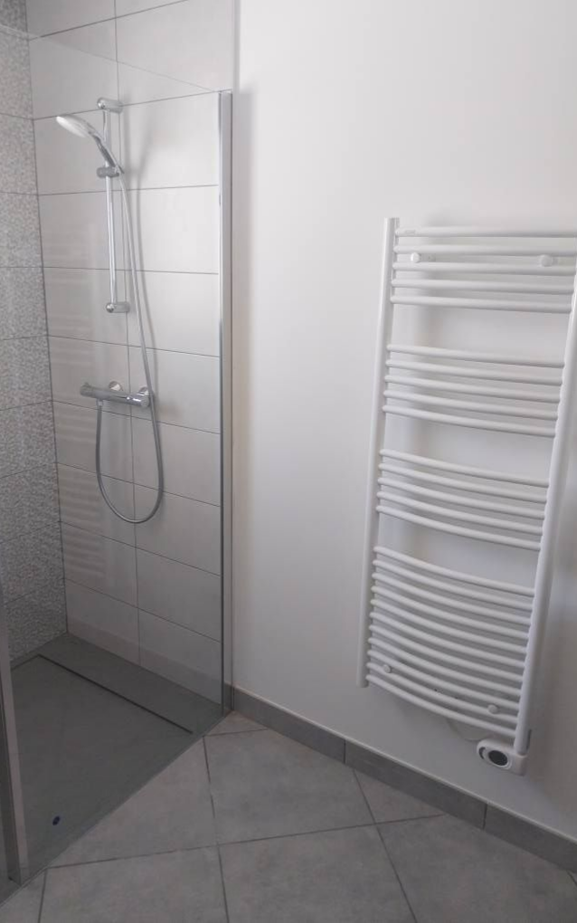 Cabine de douche et sèche-serviettes dans une salle de bains