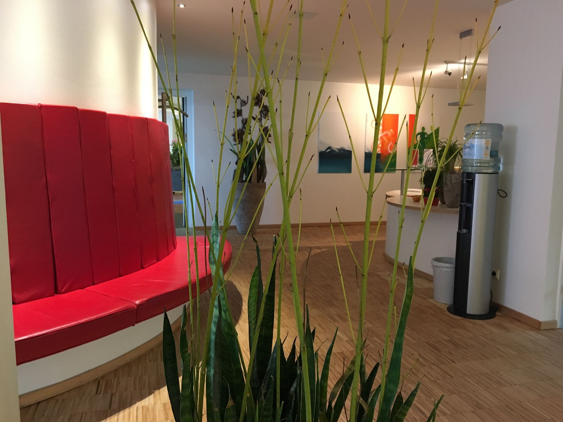 Ein Wartezimmer mit einer roten Bank und einer Pflanze im Vordergrund
