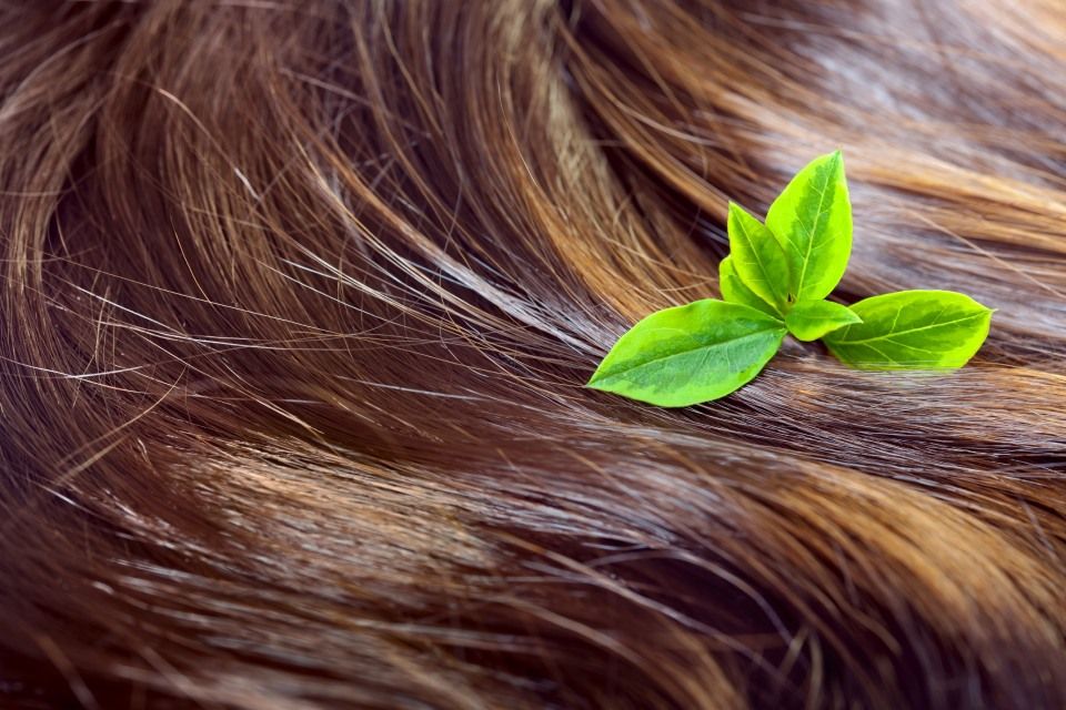 Betty's Naturcoiffeur