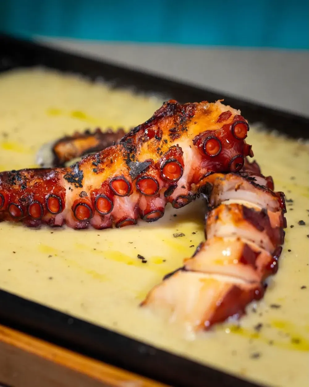 Tentáculos de pulpo a la parrilla sobre una salsa amarilla, dispuestos en un plato oscuro.