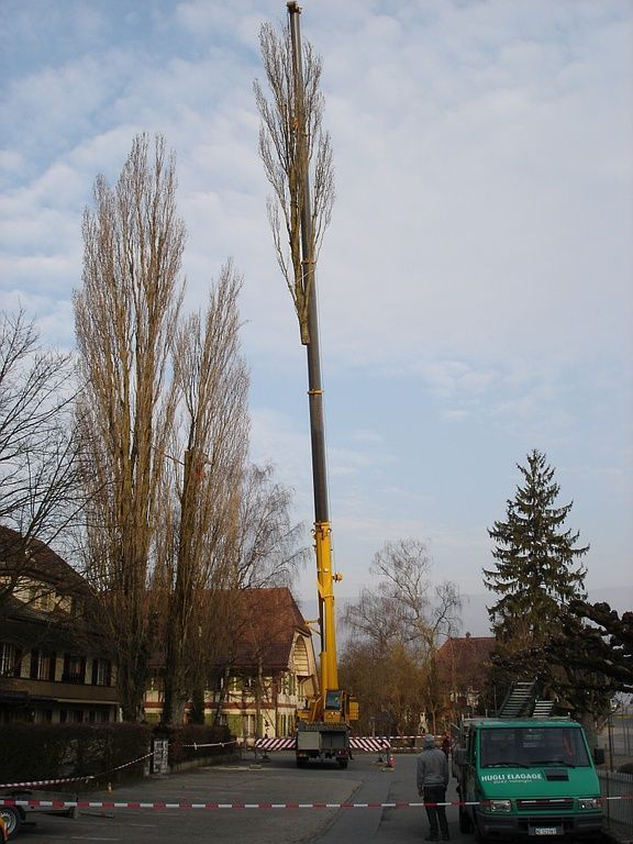 Hügli Paysage - Villiers - Neuchâtel - Paysagiste