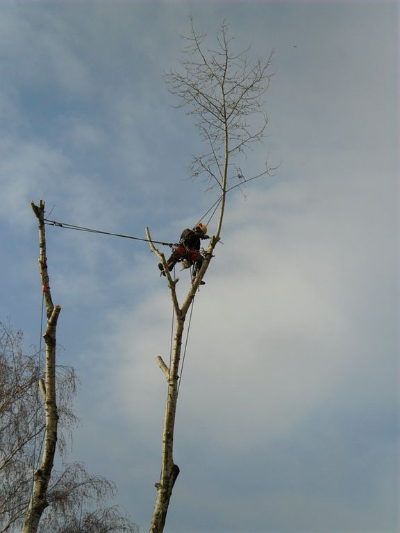Hügli Paysage - Villiers - Neuchâtel - Paysagiste