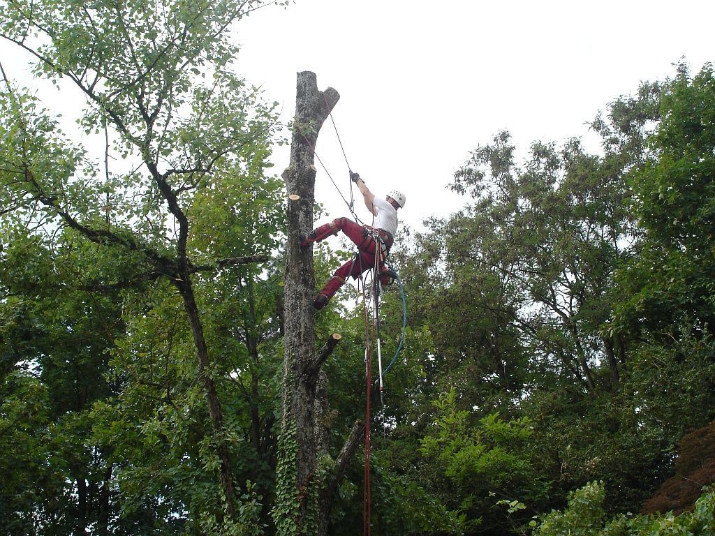 Hügli Paysage - Villiers - Neuchâtel - Paysagiste