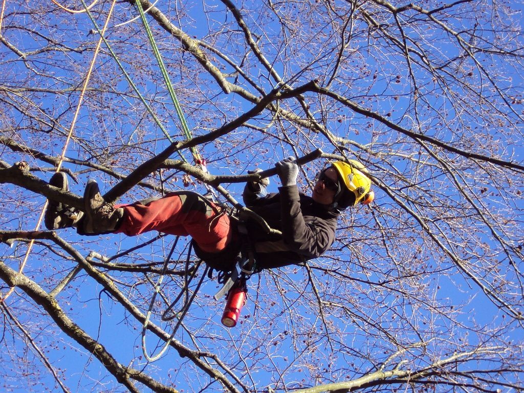 Hügli Paysage - Villiers - Neuchâtel - Paysagiste