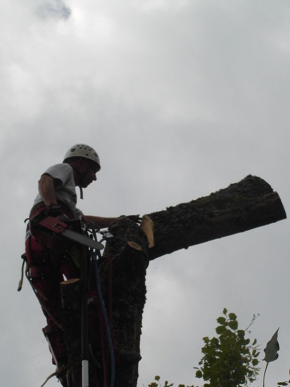 Hügli Paysage - Villiers - Neuchâtel - Paysagiste