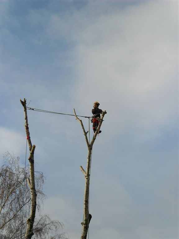 Hügli Paysage - Villiers - Neuchâtel - Paysagiste
