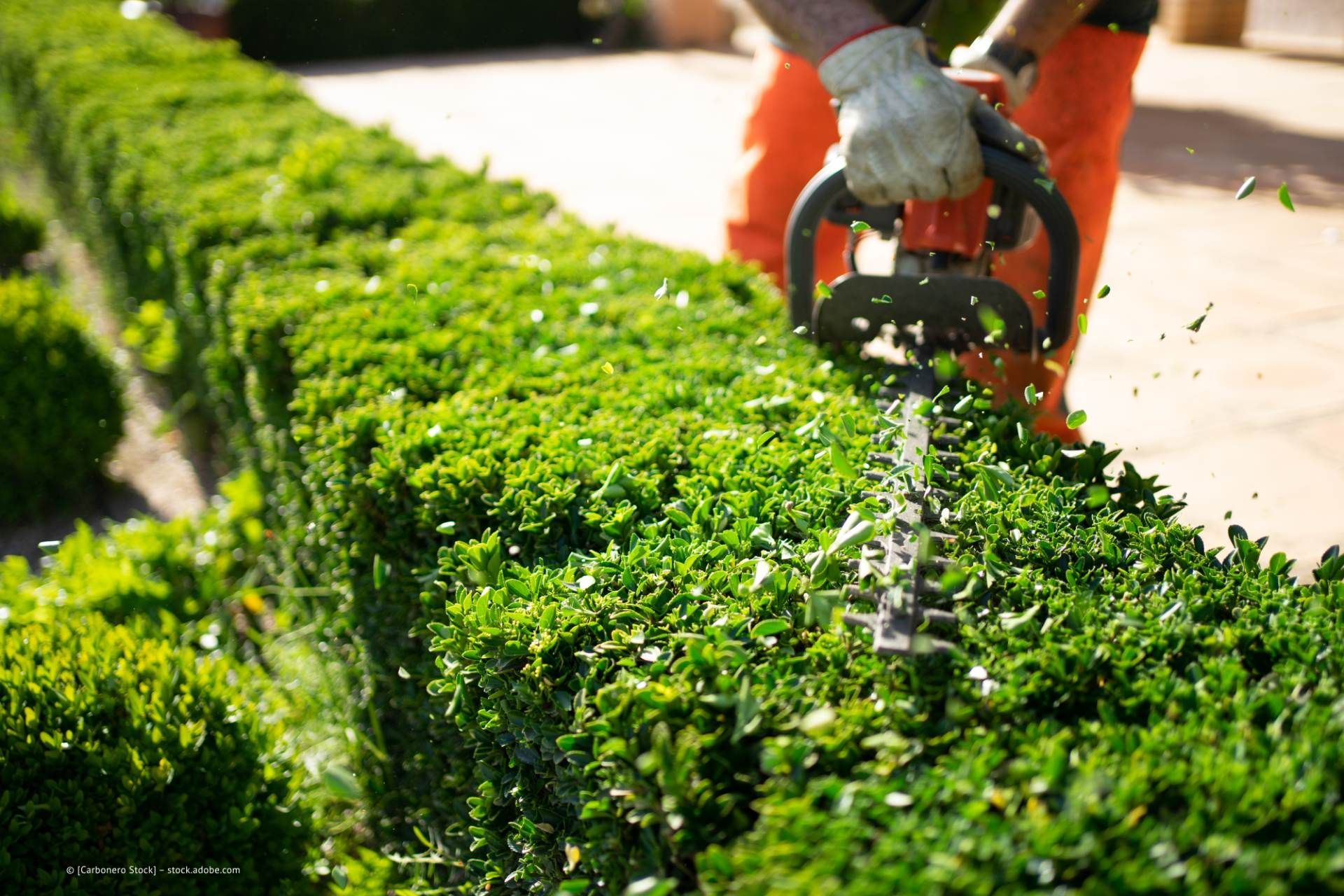 Gärtner führen sorgfältige Gartenpflege durch und gestalten eine grüne Oase.