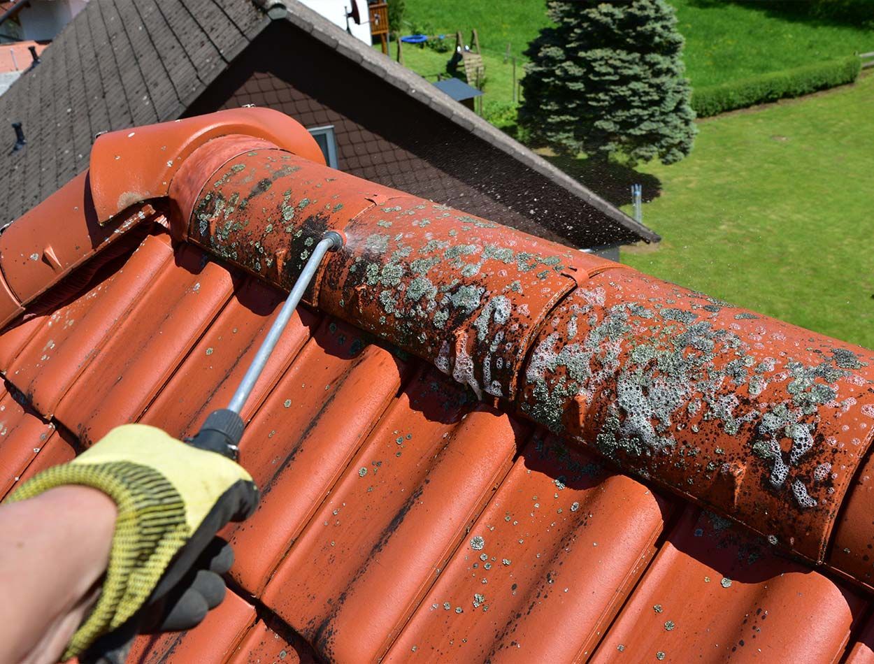 Suppression de la mousse sur une toiture