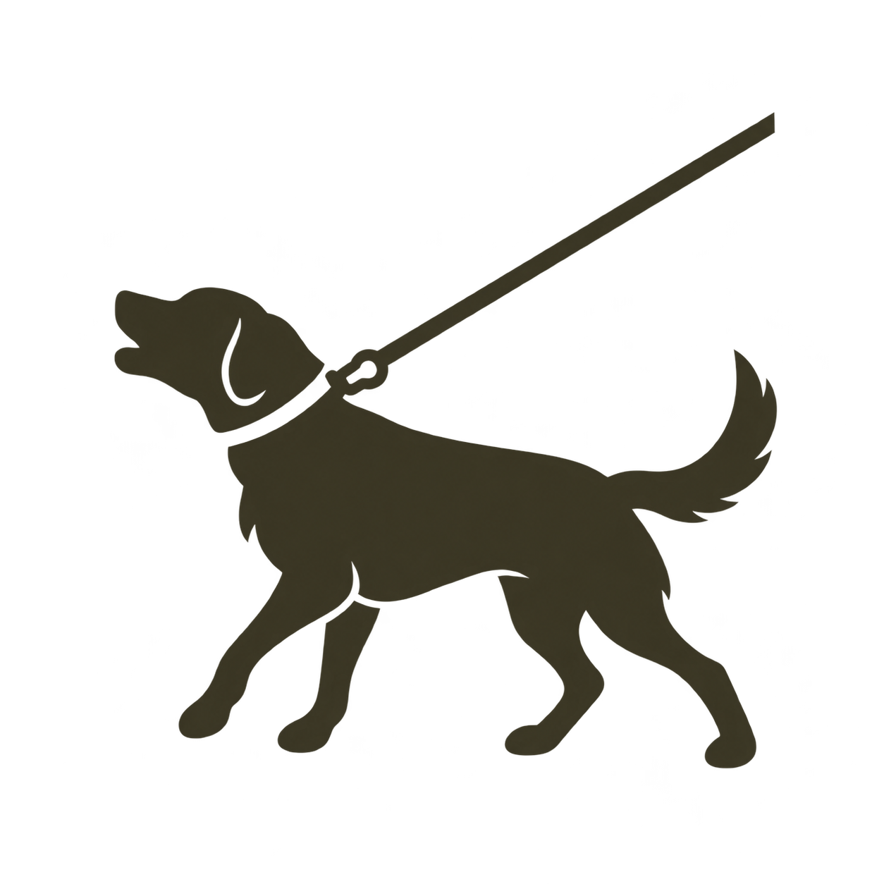 Silhouette noire d’un chien en laisse, en pleine foulée, la gueule ouverte sur fond blanc