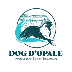 Logo pour DOG D'OPALE, avec un chien noir et blanc près d'une cascade et le texte « Salon de beauté et bien être animal »