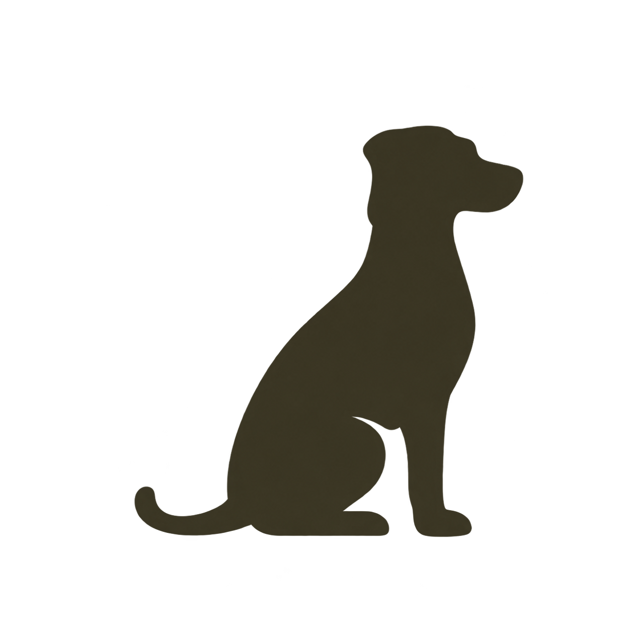 Silhouette d’un chien assis sur fond blanc