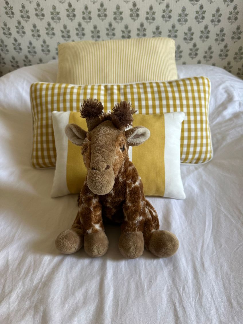 Coussins décoratifs