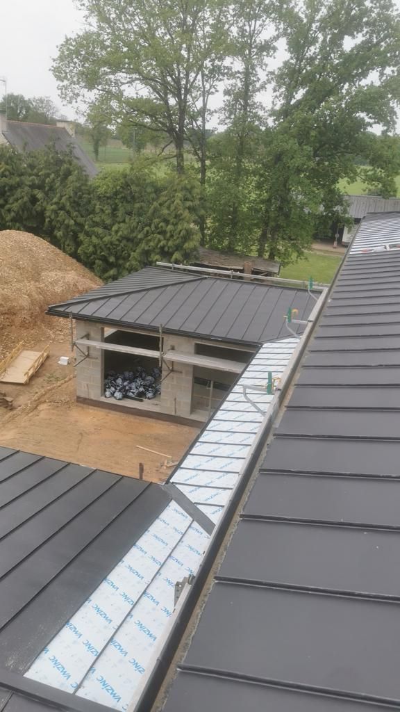 Plusieurs toitures en métal noir