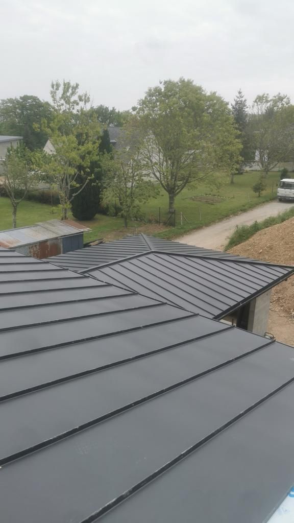 Toiture en métal noir