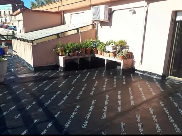 Un techo con muchas plantas en macetas.