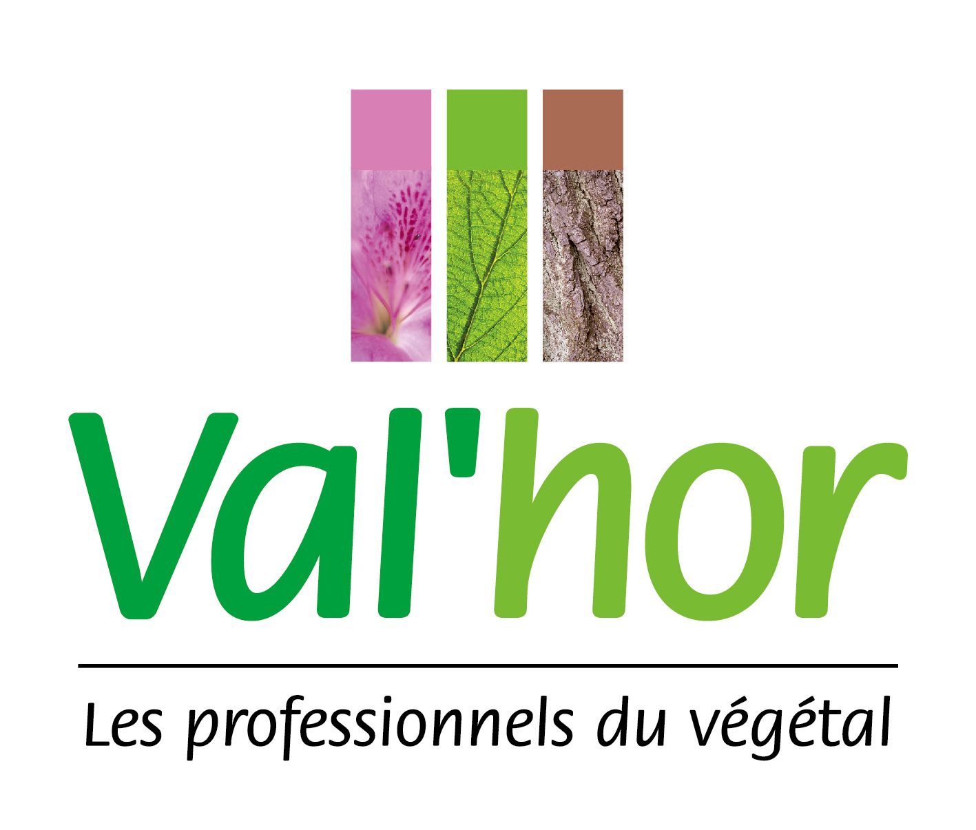 Logo Val'hor