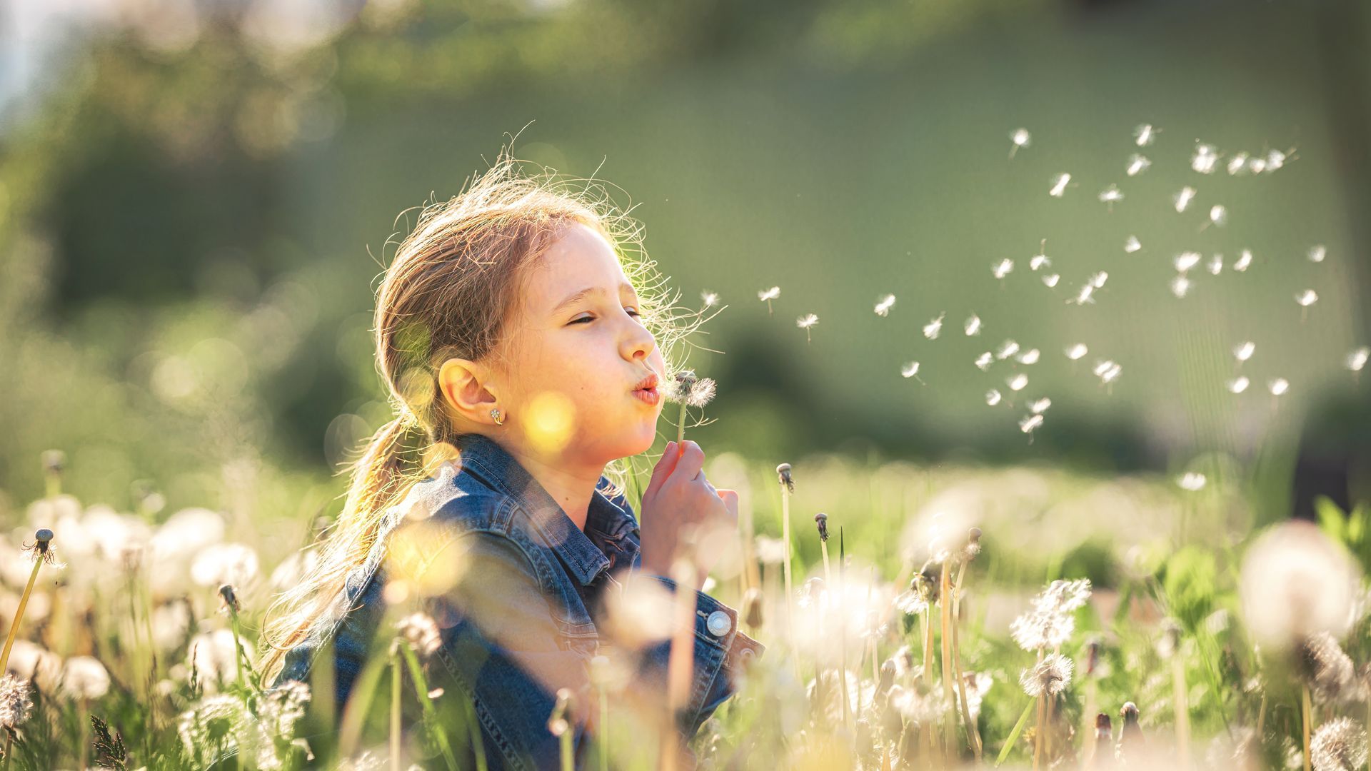 Enfant soufflant sur des graines de pissenlit dans une prairie ensoleillée, les graines flottant au vent.
