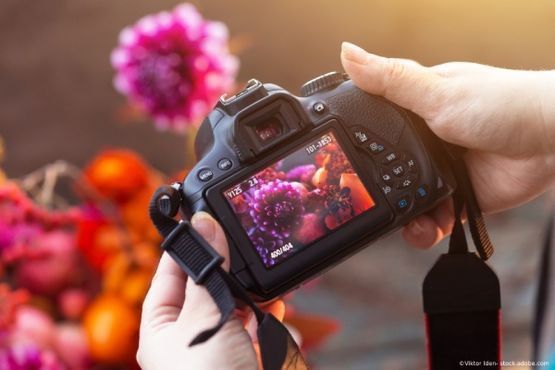 Fotostudio Claudia Löwinger – Fotografieren von Blumen