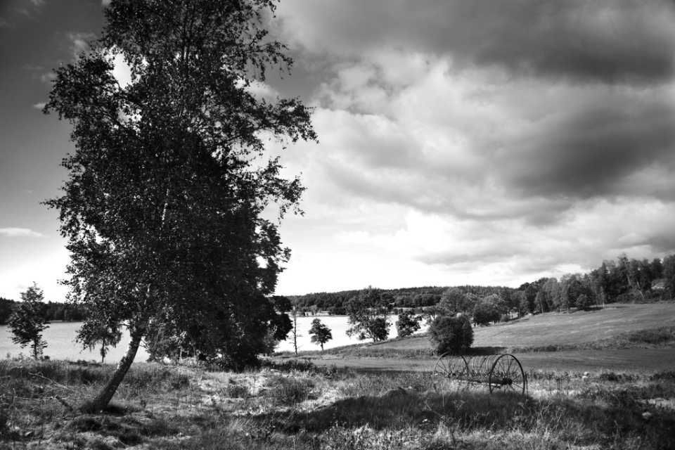 Fotostudio Claudia Löwinger – Landschaft
