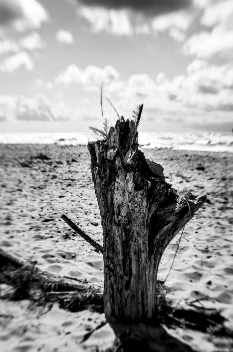 Fotostudio Claudia Löwinger – Landschaftsfotografie