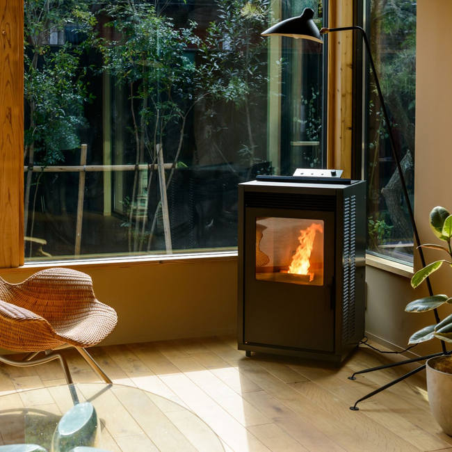 Pièce chaleureuse avec un poêle à bois près d'une grande fenêtre, un fauteuil en osier et une plante en pot baignée.