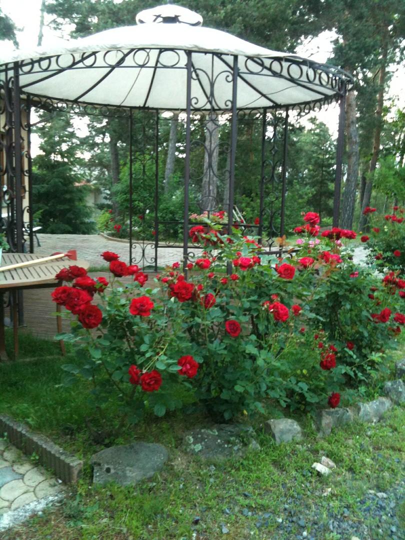 Travaux de structure métallique