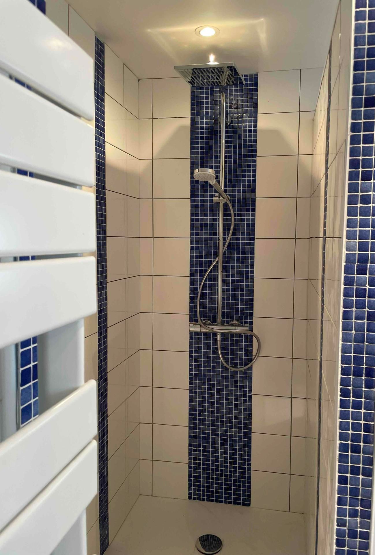Salle de bains avec une douche