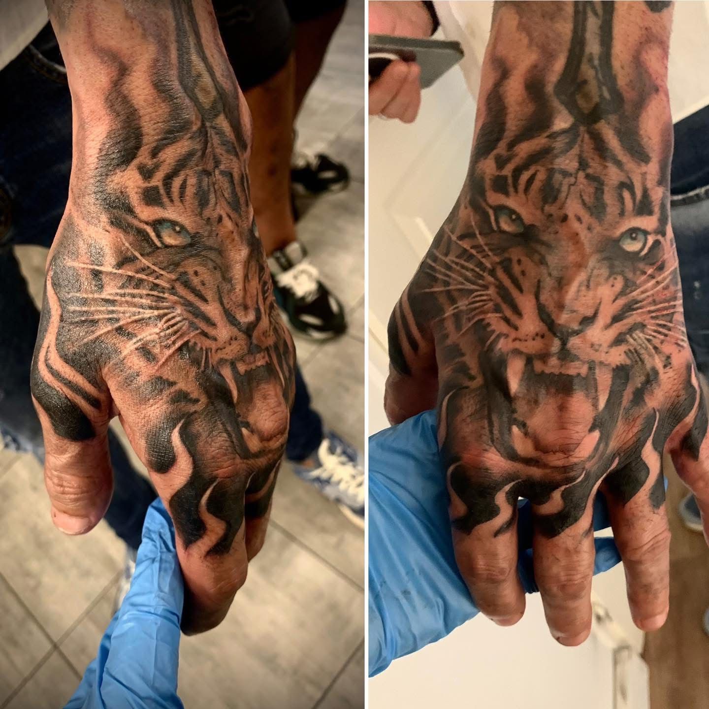 Deux photos montrant un tatouage de tigre détaillé en noir et gris sur le dos d'une main, tenue par une personne portant un gant bleu.