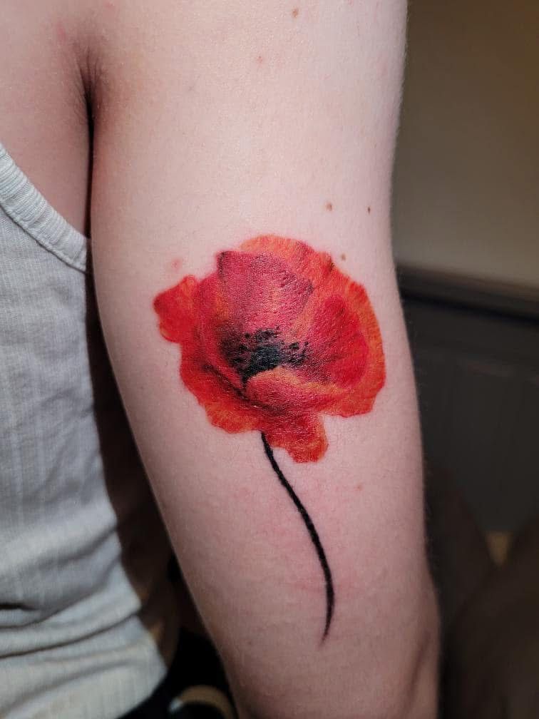 Un tatouage représentant un coquelicot rouge vif à la tige noire délicate, sur le haut du bras.