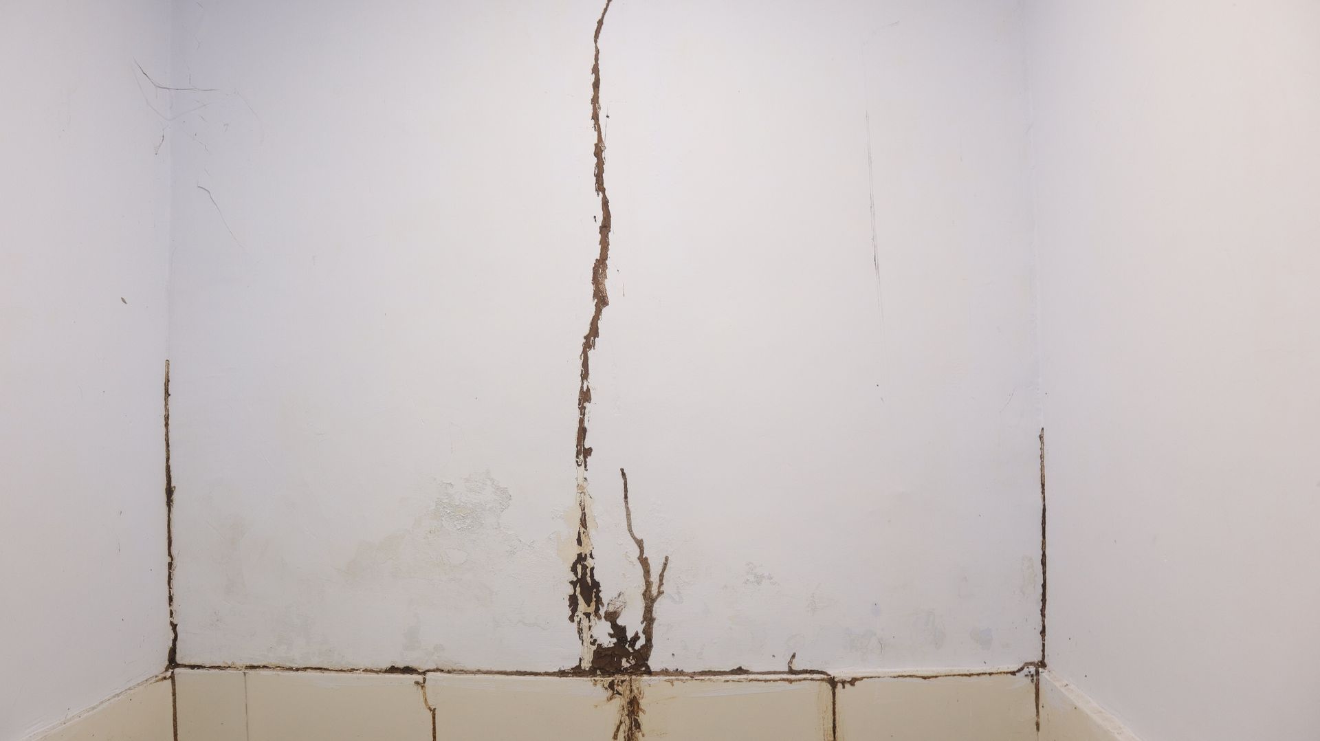 Mur intérieur blanc avec une fissure verticale proéminente, des taches brunes et des fissures au sol