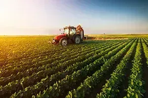 Ladwirtschaft Roter Traktor, der bei Sonnenuntergang ein grünes Feld besprüht