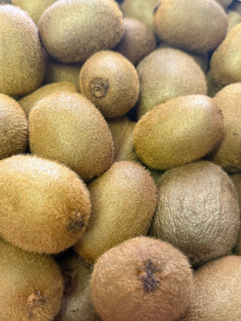 Un tas de kiwis posés les uns sur les autres sur une table.