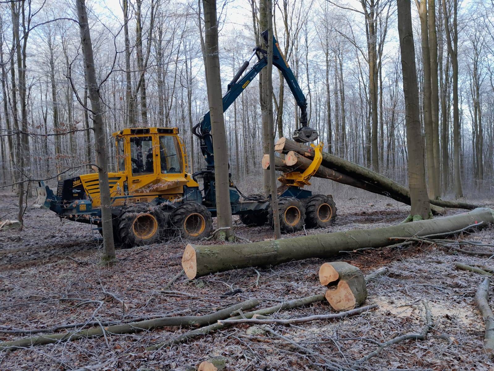 ein gelber Harvester, der in einem Wald nähe Barntrup arbeitet