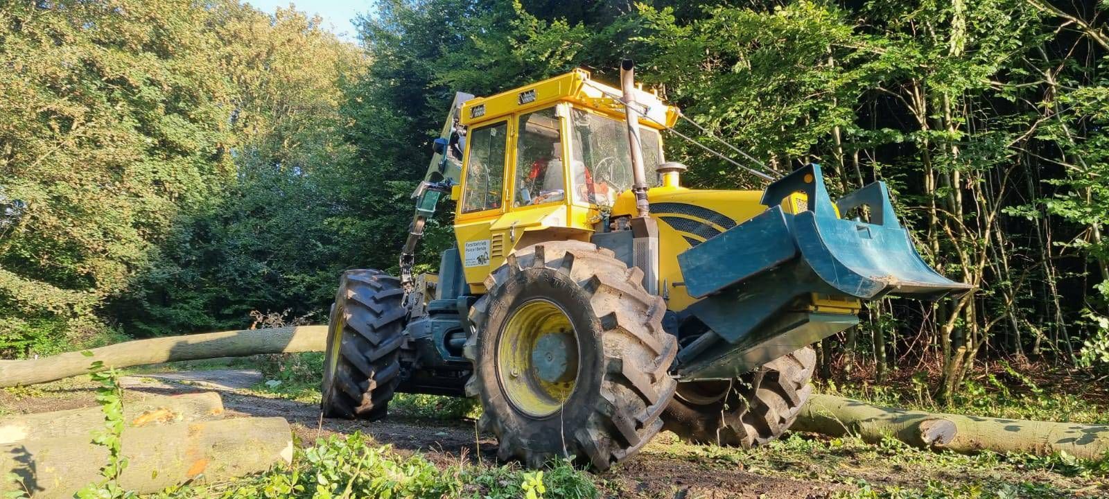 Ein gelber Bagger fährt durch einen Wald bei Schieder-Schwalenberg