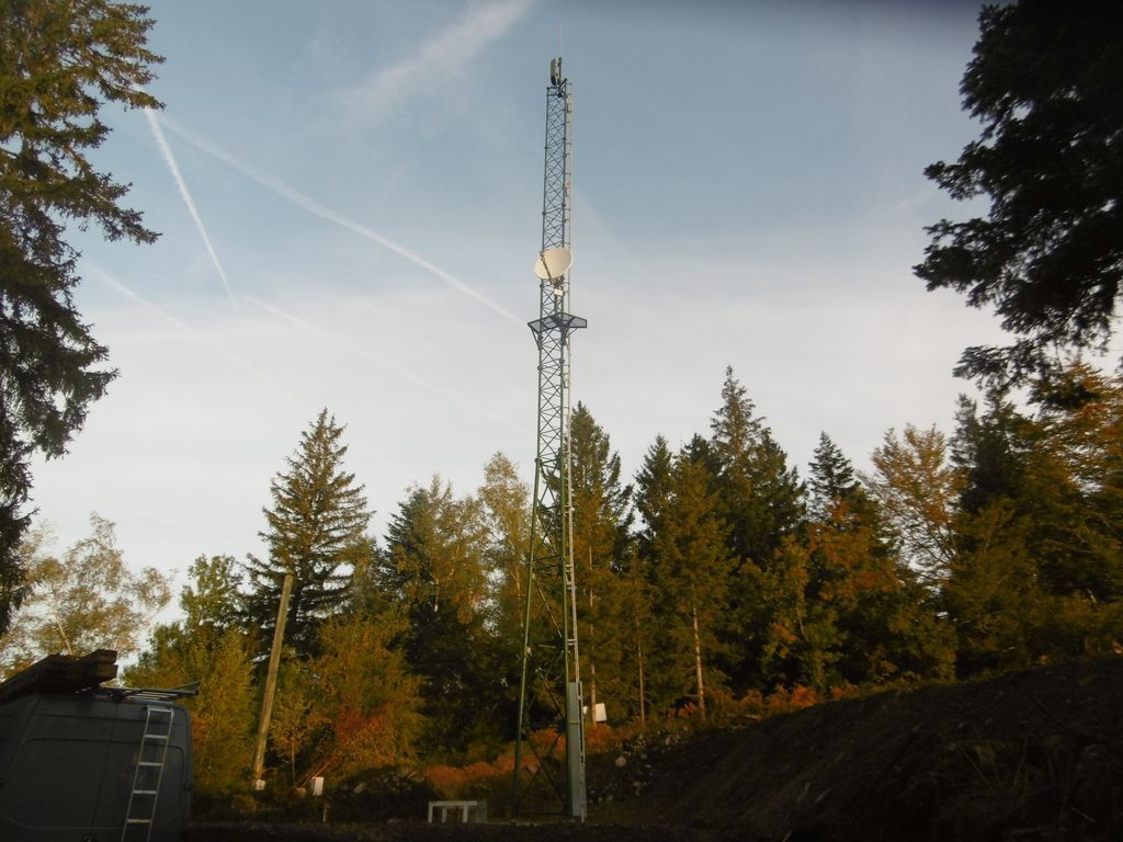 Un pylône dans une forêt