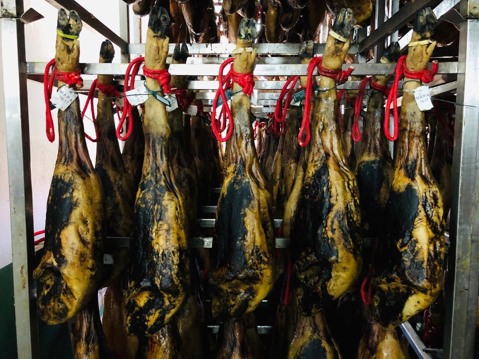 Patas de jamón curado colgadas de rejillas metálicas, atadas con cuerda roja, en el interior de una nave de curación.