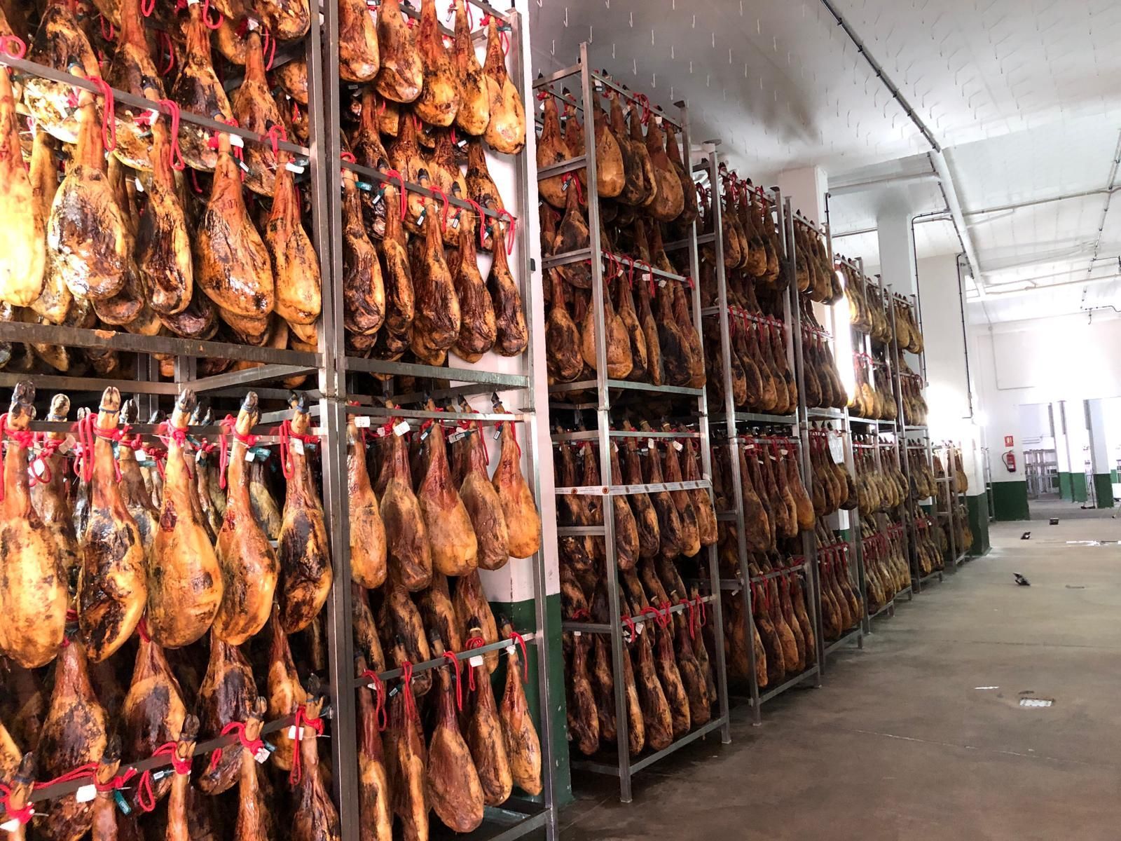 Filas de jamones curados colgados en una bodega de curación, con cordones rojos que los suspenden de estantes metálicos.
