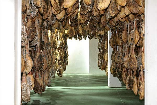 Jamones curados colgados en filas, formando un arco en una habitación de paredes blancas.