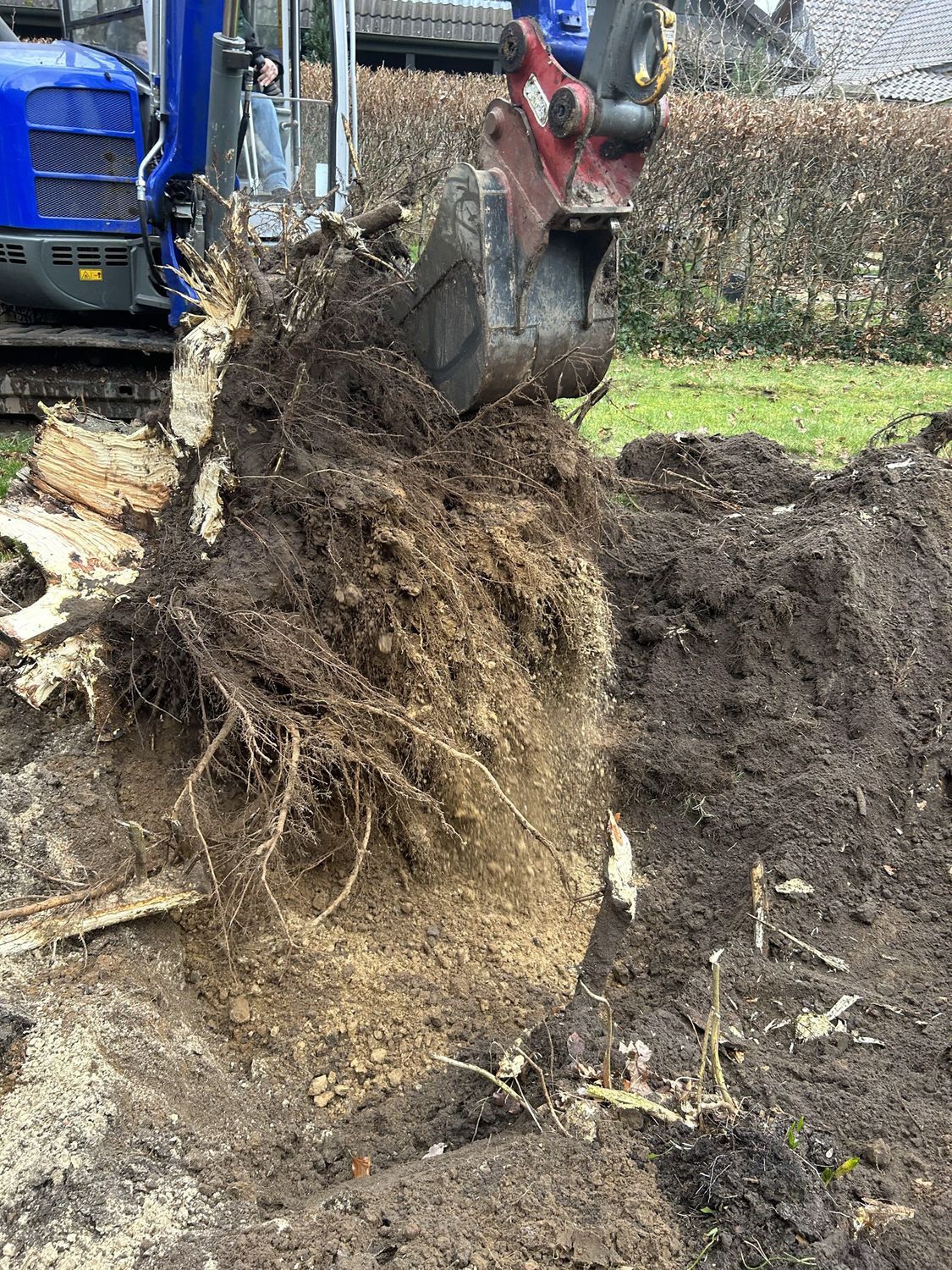 Heitmann | Garten- und Landschaftsbau