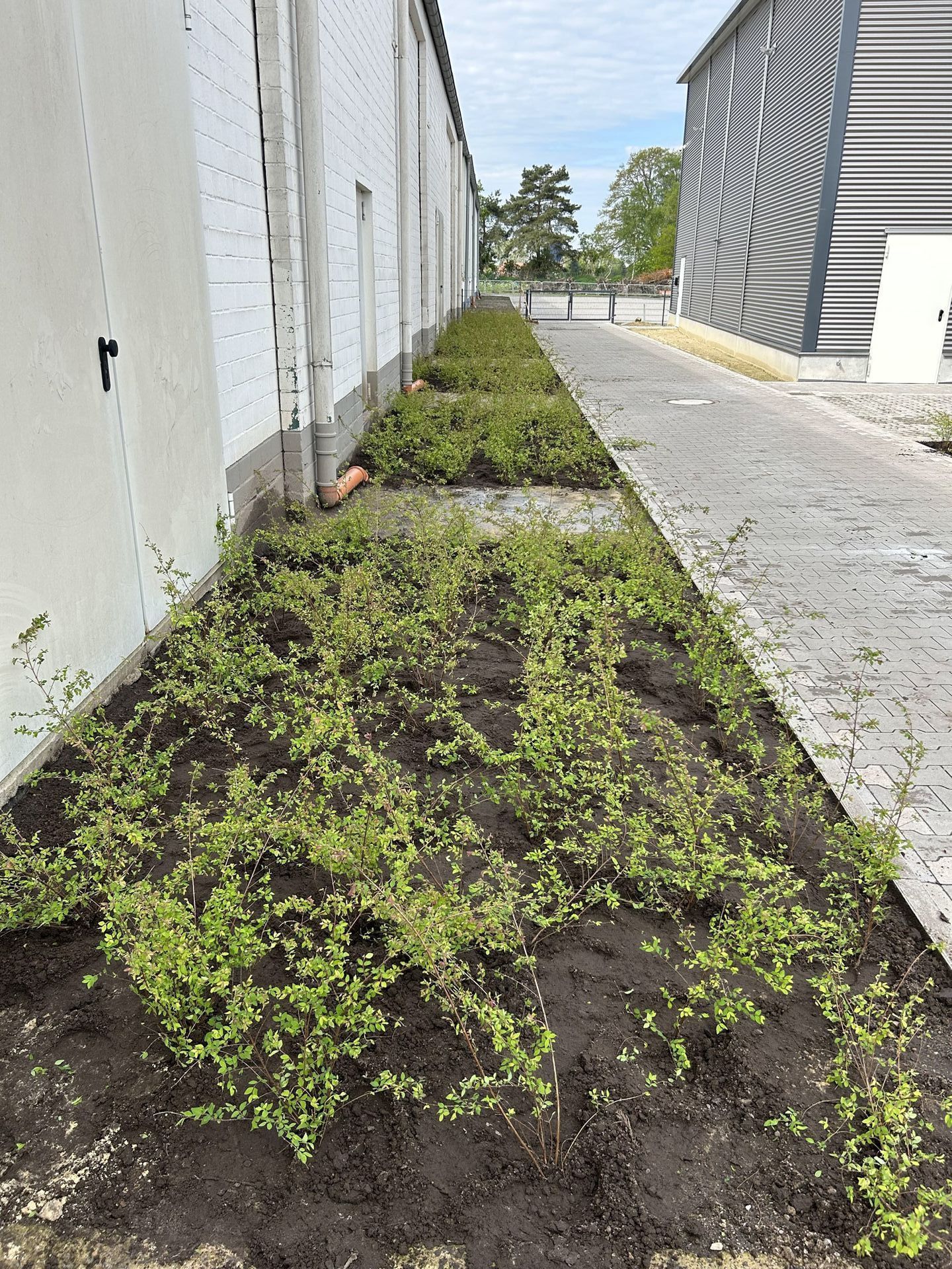 Heitmann | Garten- und Landschaftsbau