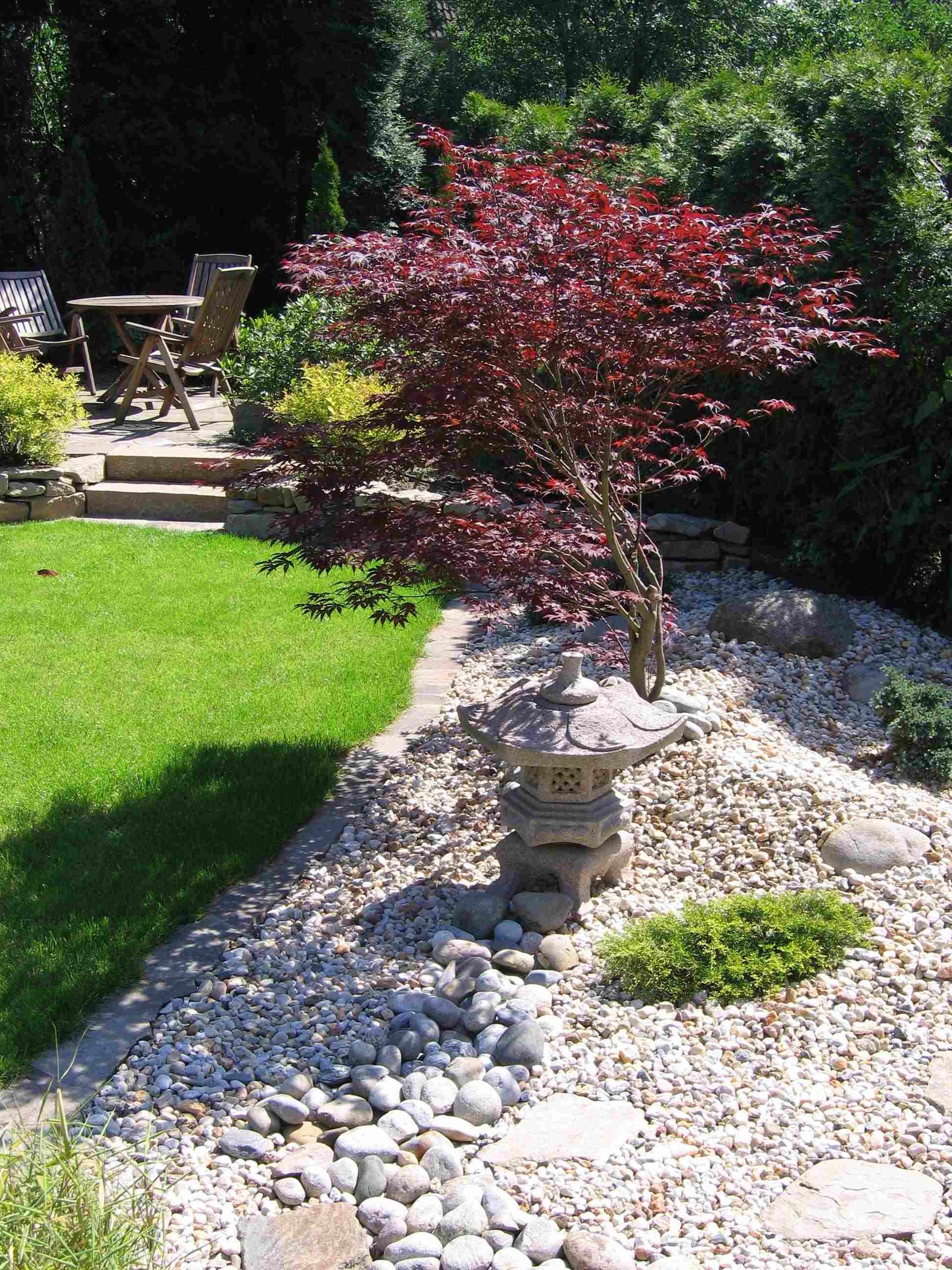 Ein Baum mit roten Blättern steht mitten in einem Steingarten