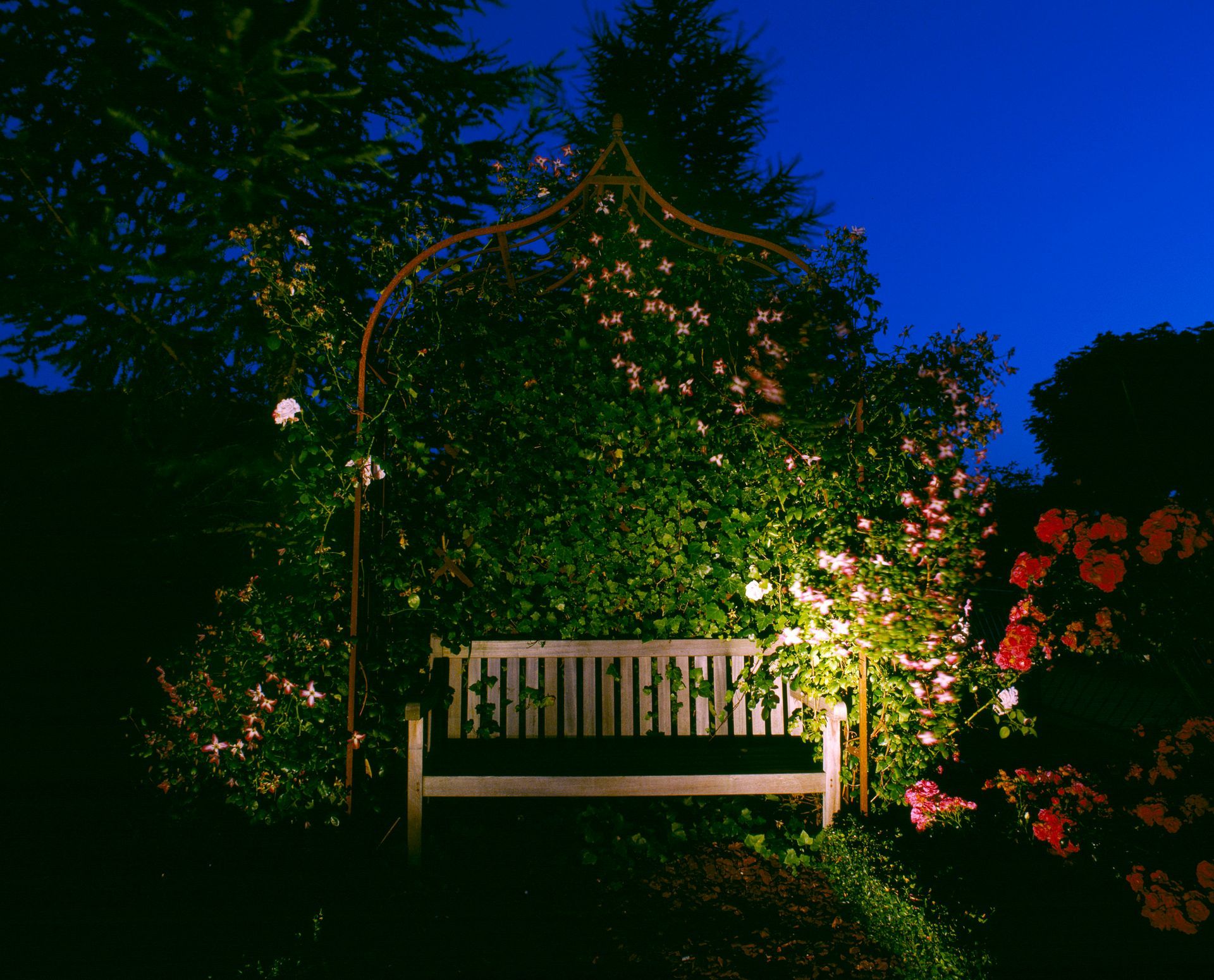 Bank unter einem Rosenbogen in der Abenddämmerung, beleuchtet von einem Scheinwerfer.
